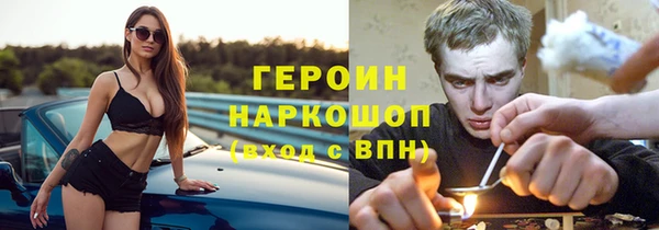 гашик Козловка