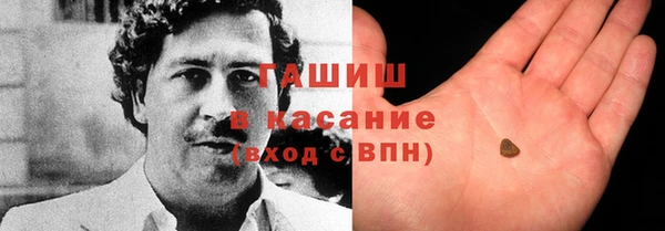 трава Корсаков