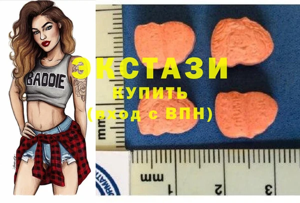 ECSTASY Костерёво