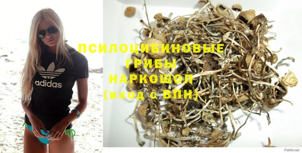 ПСИЛОЦИБИНОВЫЕ ГРИБЫ Кодинск