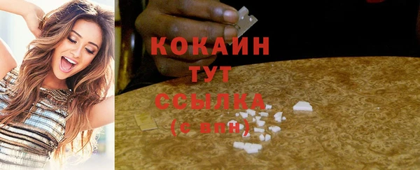 гашик Козловка