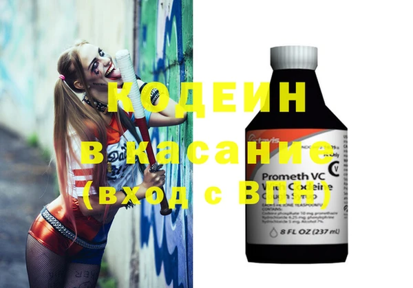 гашик Козловка