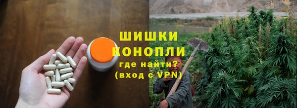 ECSTASY Костерёво